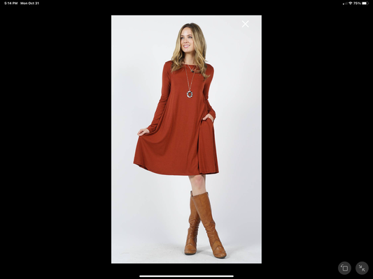 Long Sleeve Flare Dress with Pockets
